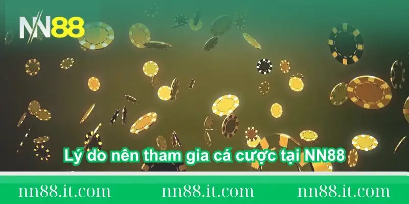 ly do nen tham gia ca cuoc tai nn88